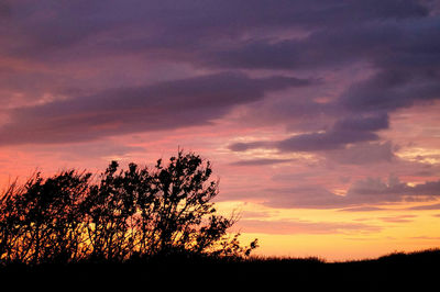 Scenic view of landscape against cloudy sky