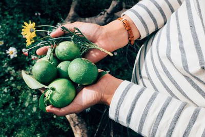 Midsection of woman holding fruit