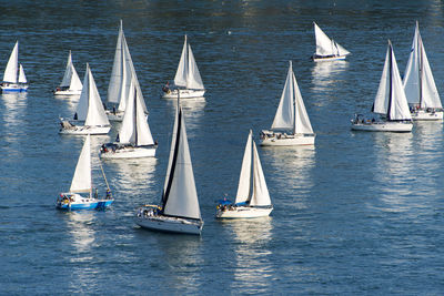 Sailboats sailing in sea