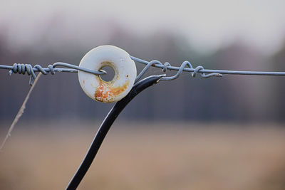 Close-up of barbed wire against sky