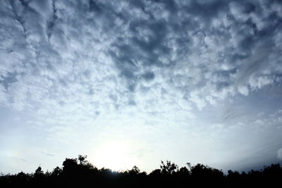 Low angle view of silhouette trees against sky during sunset