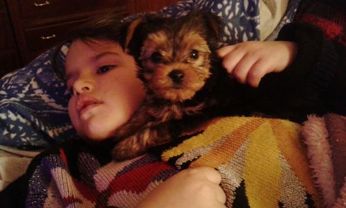 Close-up of woman with dog at home