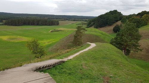 Scenic view of grassy field against sky