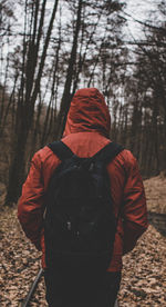 Rear view of man standing by tree in forest