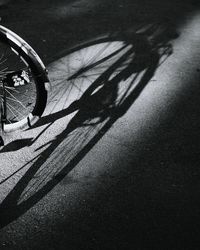 Close-up of shadow on ground