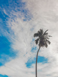 Low angle view of coconut palm tree against sky