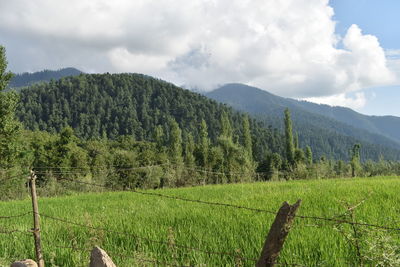 Scenic view of field against sky