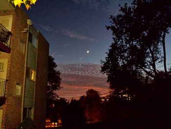 Low angle view of trees against sky at sunset