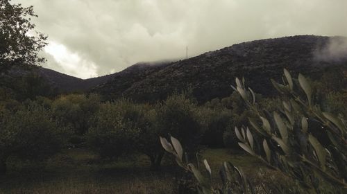 Scenic view of mountains against sky