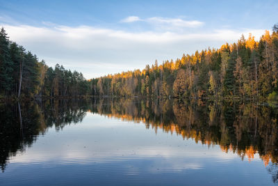 Scenic view of lake in forest against sky