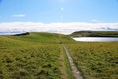 Scenic view of agricultural field against sky