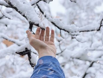 Midsection of person holding ice cream cone during winter