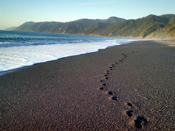 Scenic view of beach