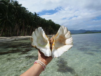 Cropped hand of woman holding seashell over sea