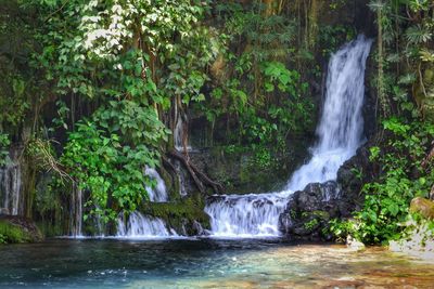 View of waterfall in forest