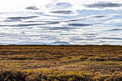 Scenic view of landscape against sky