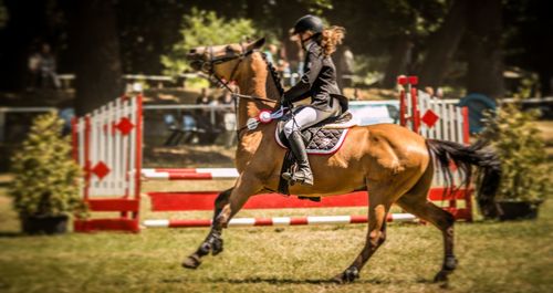 Man riding horse on field