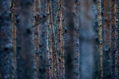 Full frame shot of rusty metals