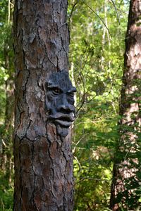 Portrait of a tree trunk in forest