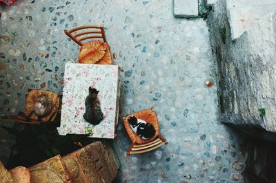 Close-up of rusty metal