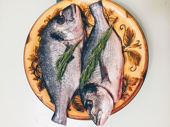 Directly above shot of fishes and herb in plate on white background