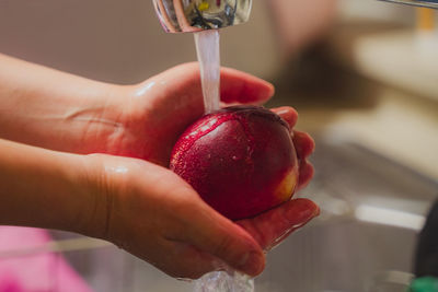 Close-up of hand holding coconut