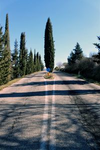 Road by trees against clear sky