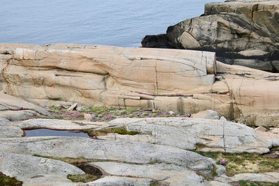 Scenic view of rocky beach