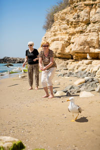 Two senior women in black sunglasses feeding seagulls on the rocky beach
