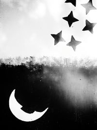 Reflection of trees in water