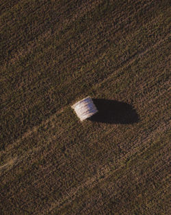 High angle view of shadow on field