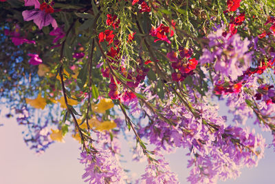 Upside down image of flowers blooming against sky