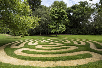 Scenic view of formal garden