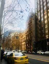 Cars on road amidst buildings in city