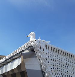 Low angle view of seagull on roof against clear blue sky