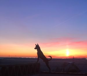 Silhouette man with arms outstretched standing on land against sky during sunset