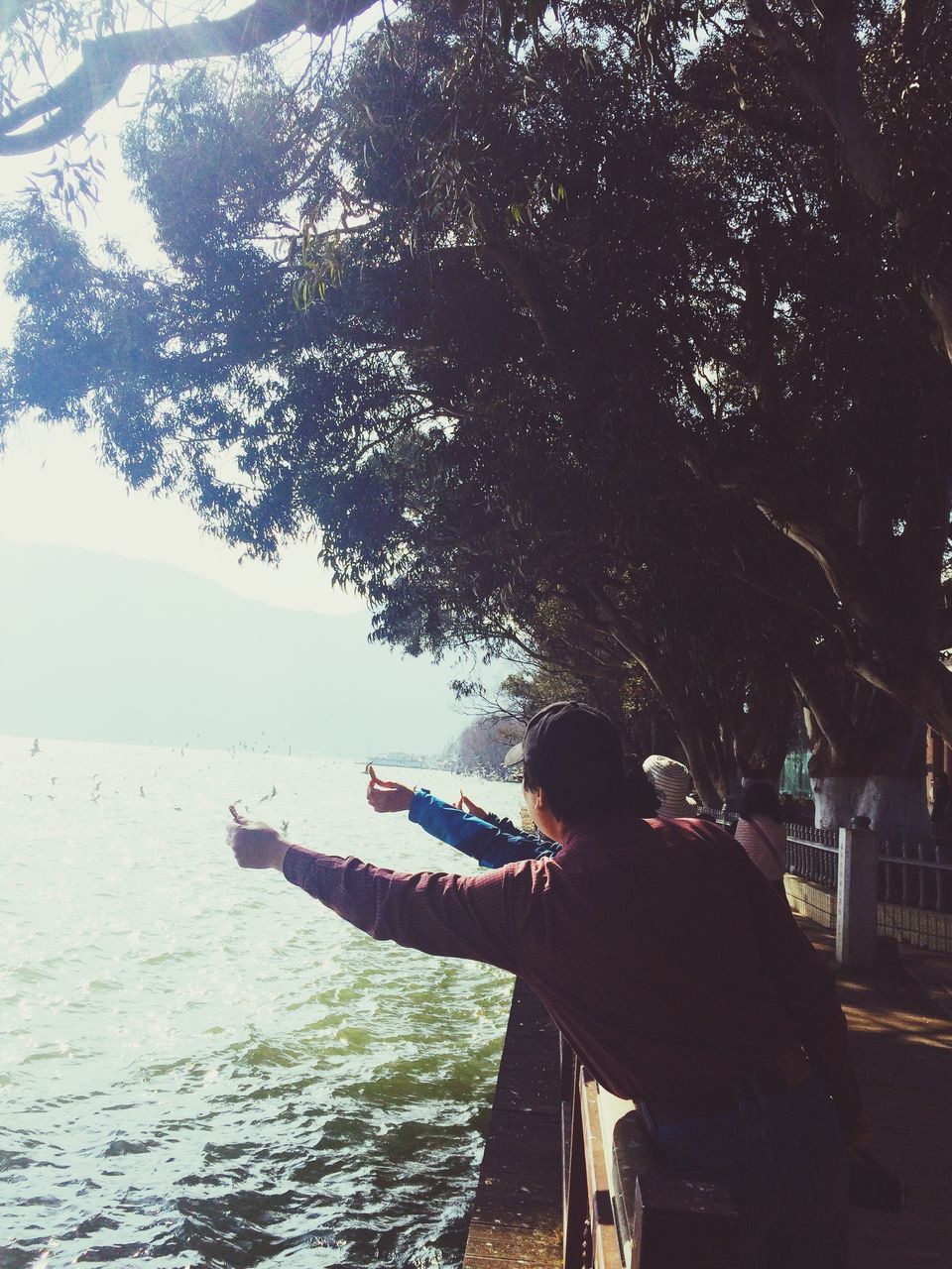 water, tree, lifestyles, leisure activity, lake, sunlight, river, nature, day, side view, sky, outdoors, sea, sitting, part of, waist up, young adult, person