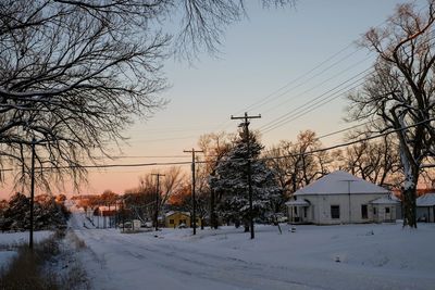 Bare trees against clear sky during winter