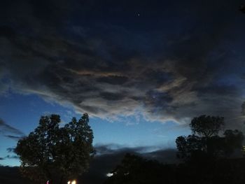 Low angle view of silhouette trees against sky at night