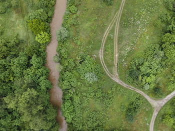 High angle view of road amidst trees in forest