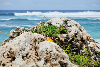 Rocks on beach against sky