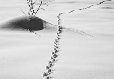 View of a snow covered land