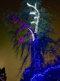 Close-up of illuminated tree against sky at night