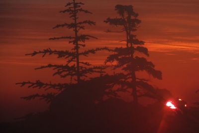 Low angle view of trees against sky at sunset