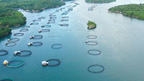 Aerial view of fish ponds for bangus, milkfish.  large scale traditional floating fish farms.