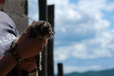 Woman hand holding cat outdoors in fron of the blue sky with some clouds