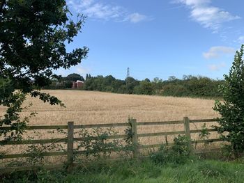 Scenic view of field against sky