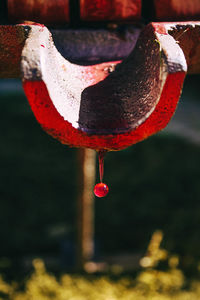 Close-up of wine dripping from pipe