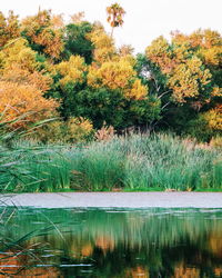 Scenic view of lake during autumn