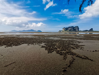Surface level of sand on beach against sky